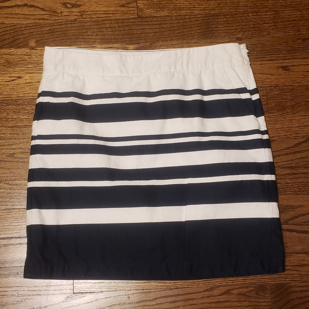 Navy Skirt